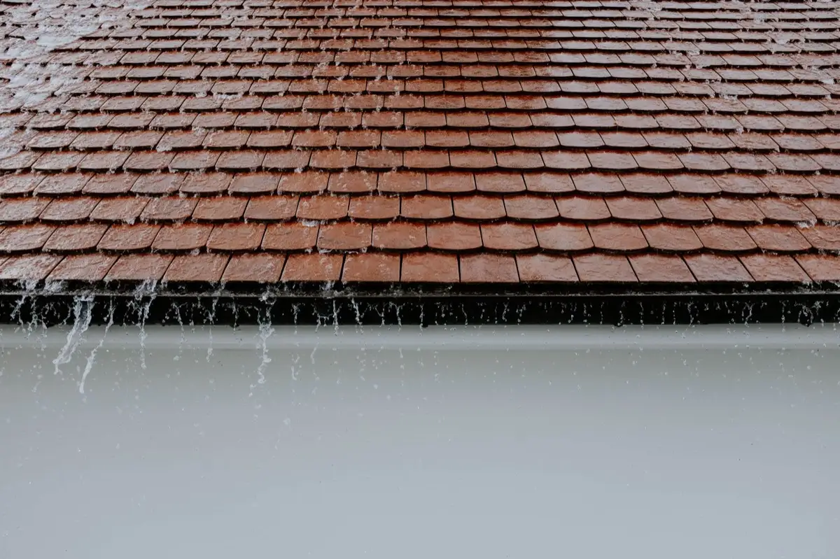 Gutters & Downspouts in Elgin, IL